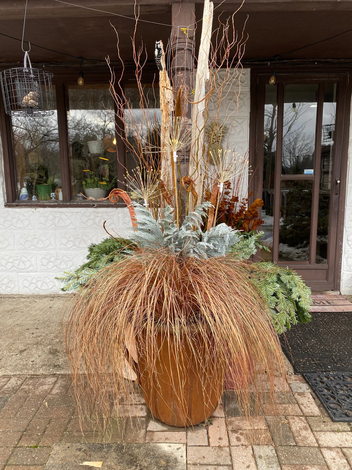 Carex flagellifera Toffee Twist